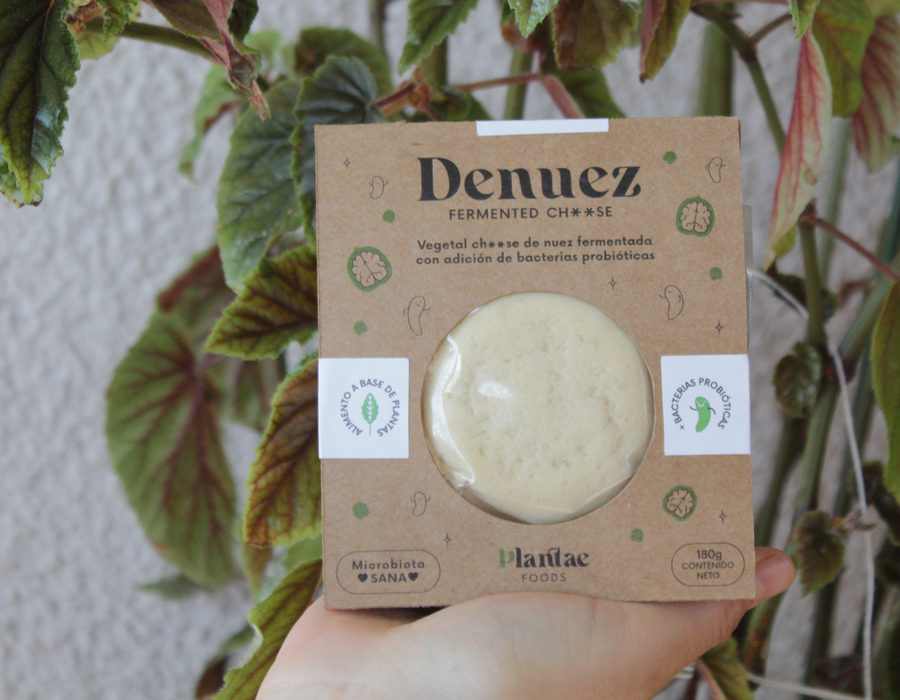 Denuez, queso vegetal fermentado de nuez, sostenido en la mano