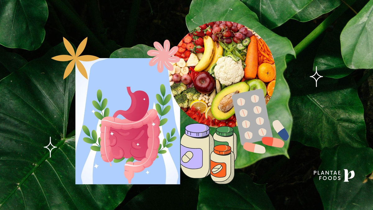 La microbiota sana mejora la absorción de nutrientes y de medicamentos
