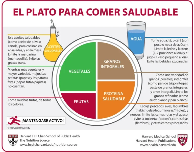 el plato para comer saludable de la universidad de harvard