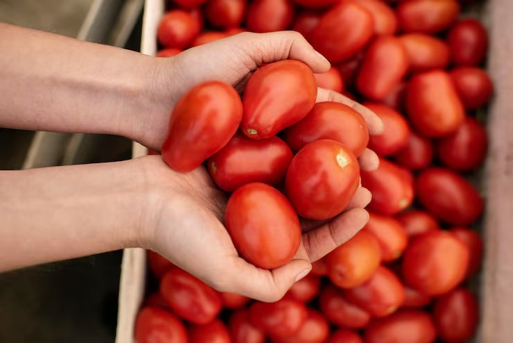 tomate