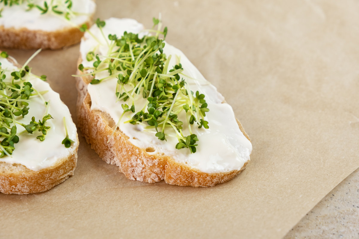 queso vegetal cremoso