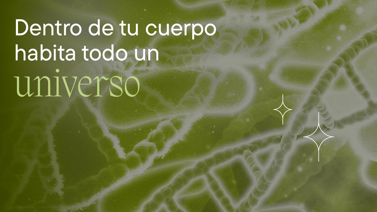 ¿Qué es la microbiota? Descubre el poder de las bacterias en tu cuerpo