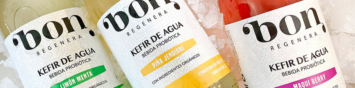 bon regenera kefir de agua- ginger beer
