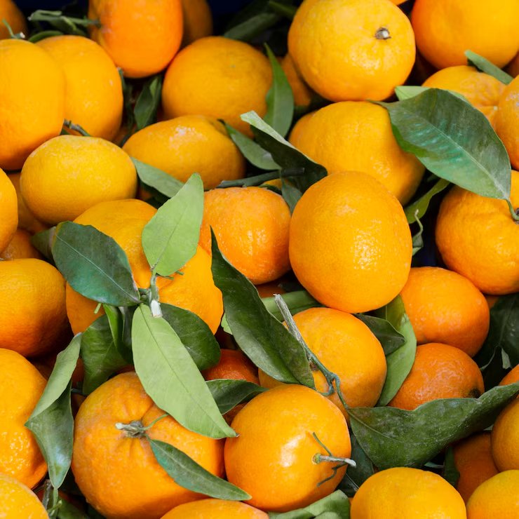 citricos mandarinas