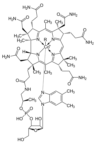 vitamina b12