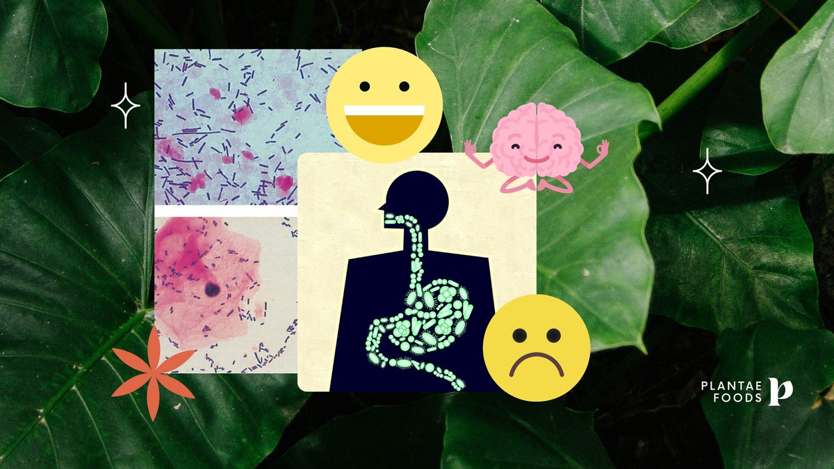 La microbiota sana ayuda a tener un mejor ánimo cada día