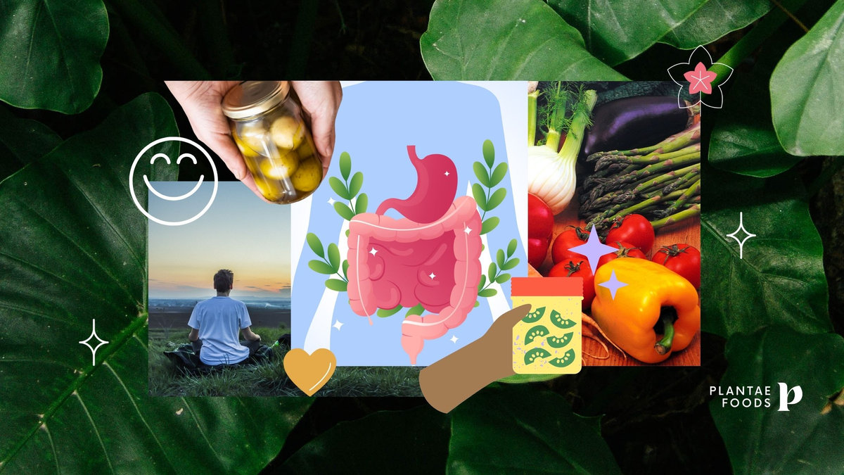 Alimentos probióticos para una microbiota sana