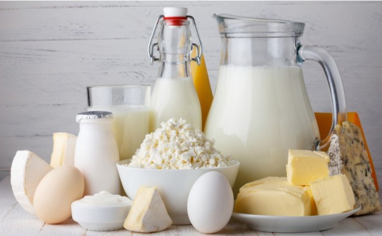lácteos con vitamina b12