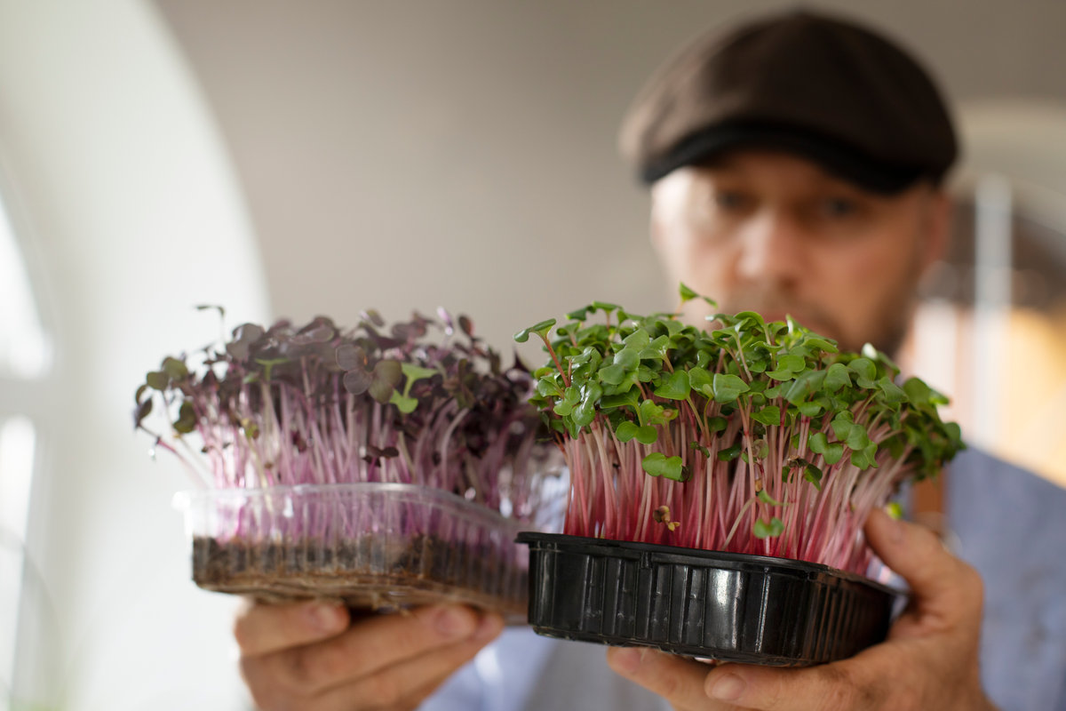 innovacion alimentaria