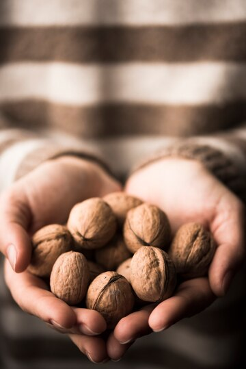 nueces saludables - nuevo queso Denuez probiótico