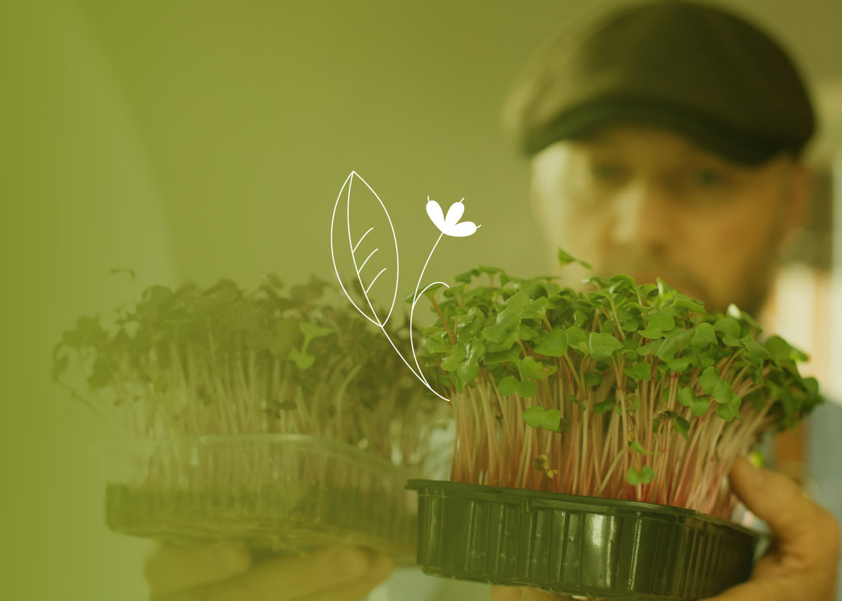Catálogo de alimentación saludable: 7 innovaciones made in Chile que tienes que probar